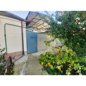 Дом с удобствами и гаражом