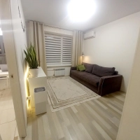 1-комнатная с ремонтом