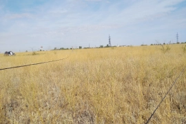 Пос. Царицын, ровный участок